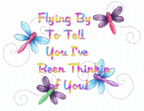 Flying By To Tell You I've Been Thinking Of You