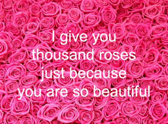 I Give You Thousand Roses Just Because You Are So Beautiful