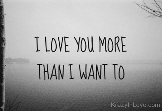 I Love You More Than I Want To