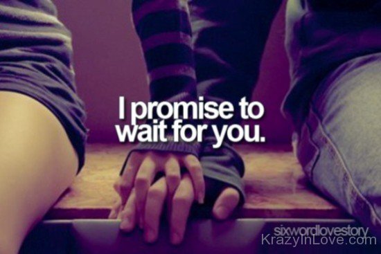 I Promise To Wait For You