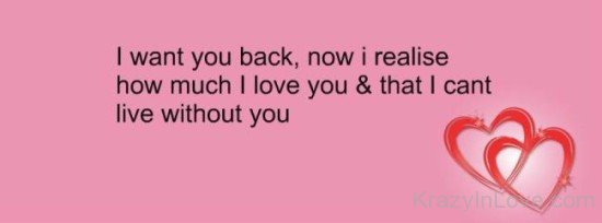 I Want You Back,Now I Realise How Much I Love You