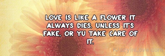 Love Is Like A Flower It Always Dies Unless It's Fake,Or You Take Care Of It
