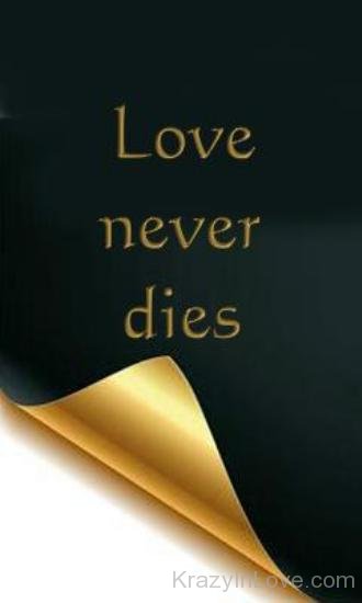 Love Never Dies Image