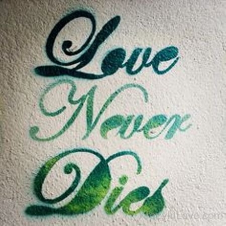 Love Never Dies