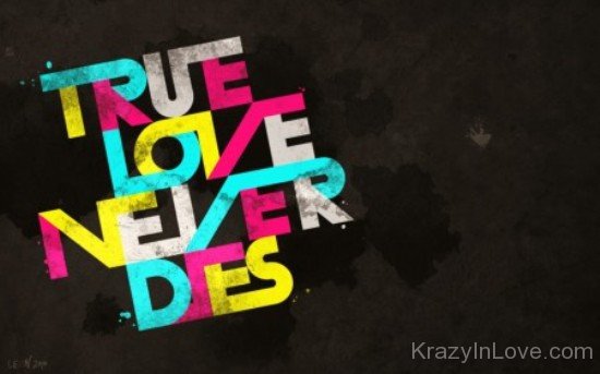 True Love Never Dies Image