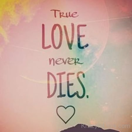 True Love Never Dies Photo
