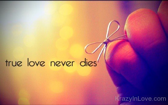True Love Never Dies Pic