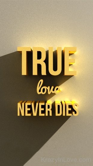 True Love Never Dies Picture