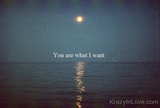 You Are What I Want