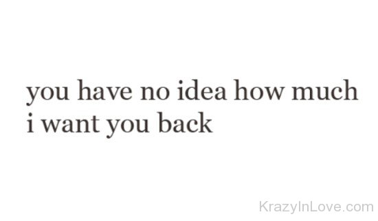 You Have No Idea How Much I Want You Back