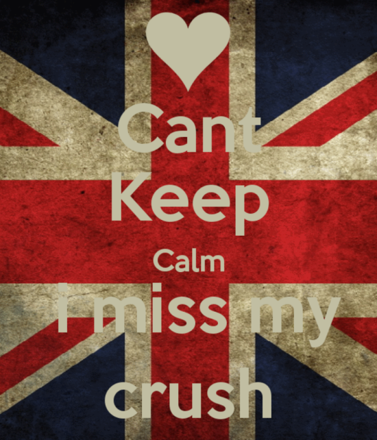 Can't Keep Calm I Miss My Crush-dc01
