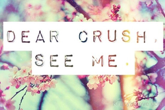 Dear Crush See Me-dc03