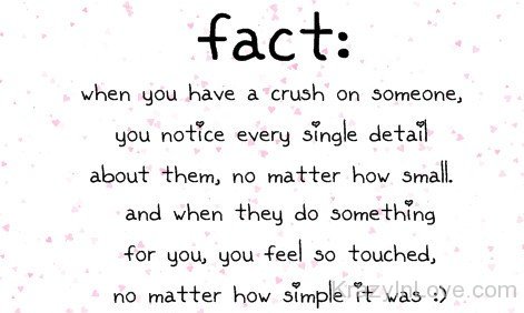 Facts Of Crush