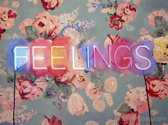 Feelings