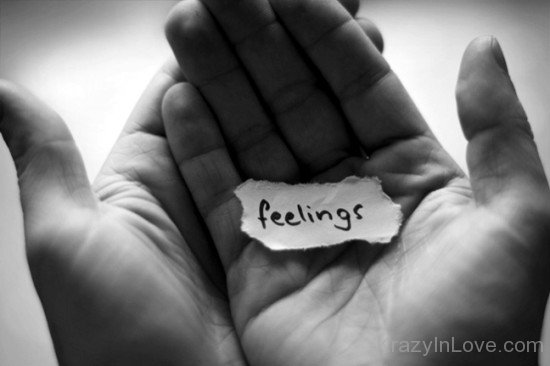 Feelings In Hand