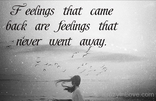 Feelings That Came Back