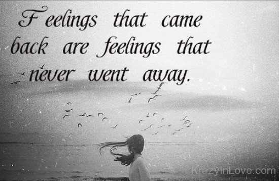 Feelings That Came Back Are Feelings That Never Went Away
