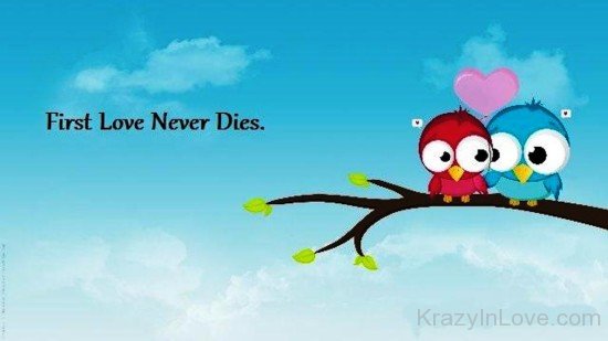 First Love Never Dies Love Birds Picture-yjr603