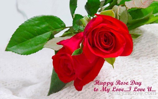 Happy Rose Day To My Love-lik708