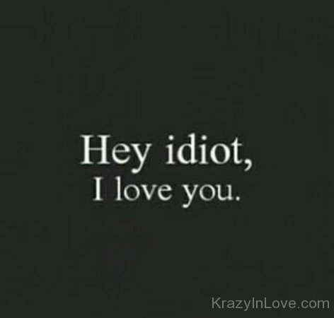 Hey Idiot,I Love You