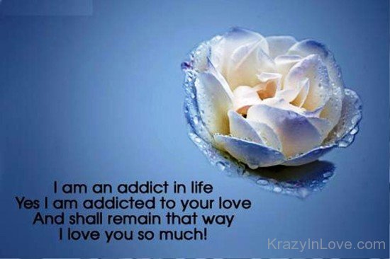 I Am An Addict In Life-rty806