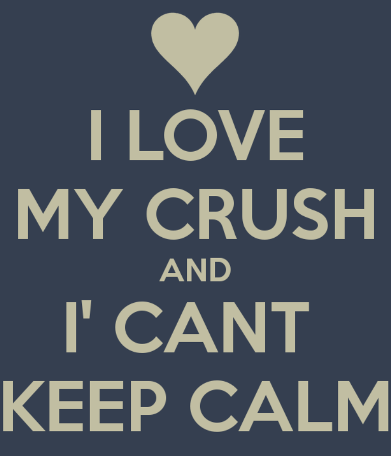 I Love My Crush And I Can’t Keep Calm-d.