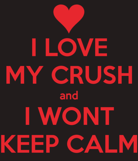 I Love My Crush And I Won't Keep Calm-dc10