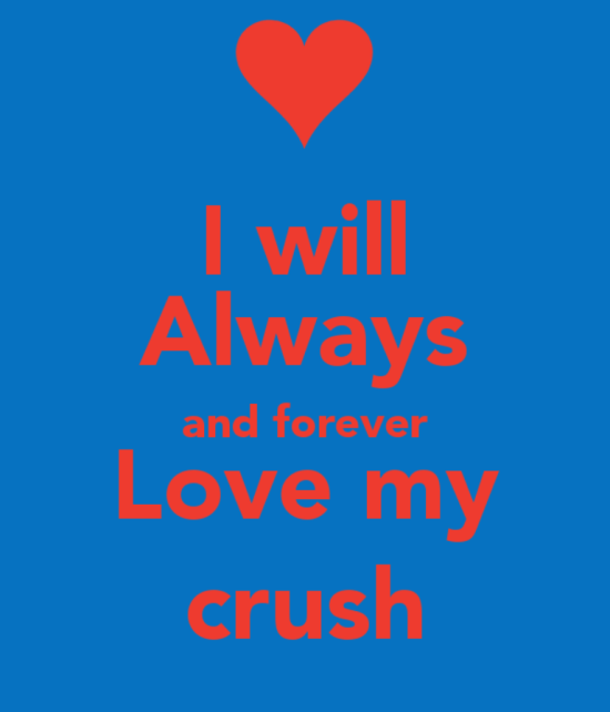 I Will Always And Forever Love My Crush-dc12