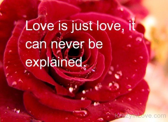 Love Is Just Love-lik715