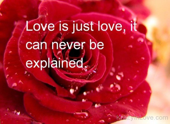 Love Is Just Love-lik715