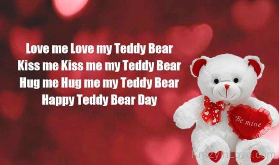 Love Me,Love My Teddy Bear-hnu314