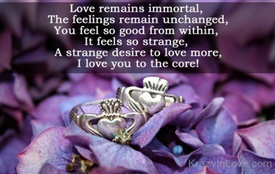 Love Remains Immortal,The Feelings Remain Unchanged