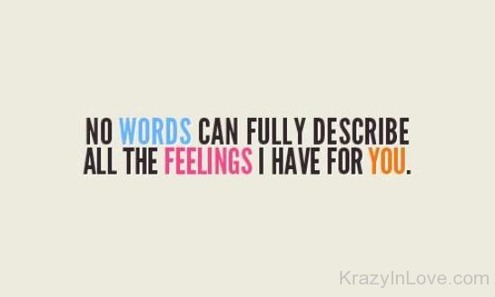 No Words Can Fully Describe All The Feelings I Have For You