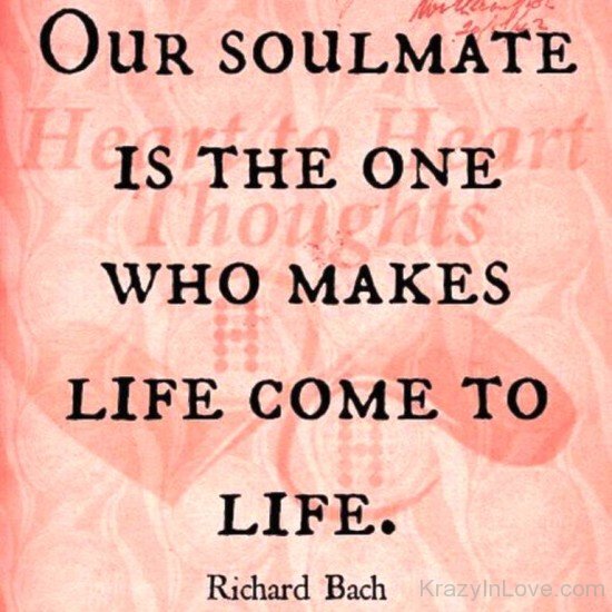 Our Soulmate Is The One-abu813