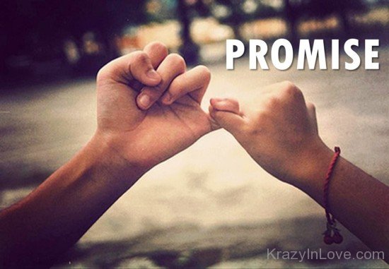 Promise-hbk523