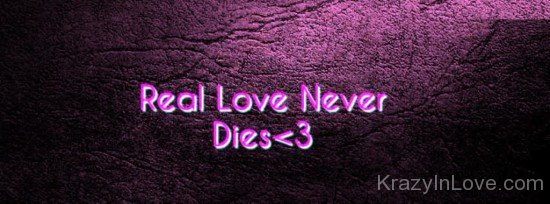 Real Love Never Dies-yjr612