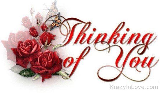 Thinking Of You Rose Image-lmn119