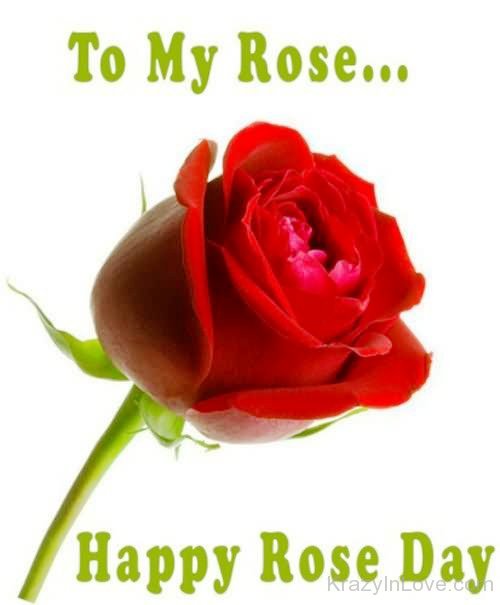 To My Rose Happy Rose Day-lik723