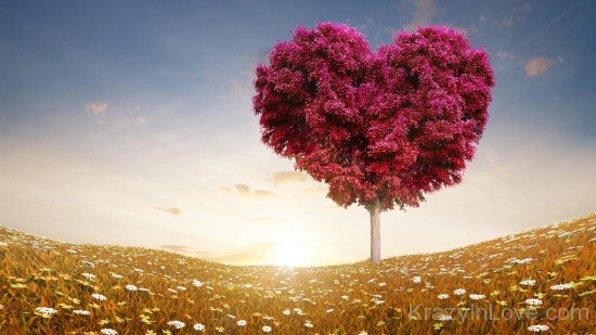 Tree Of Love-uty319