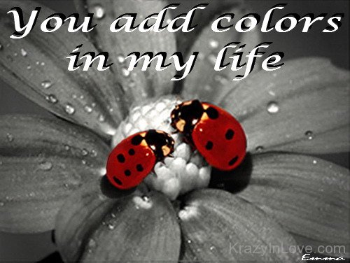 You Add Colors In My Life