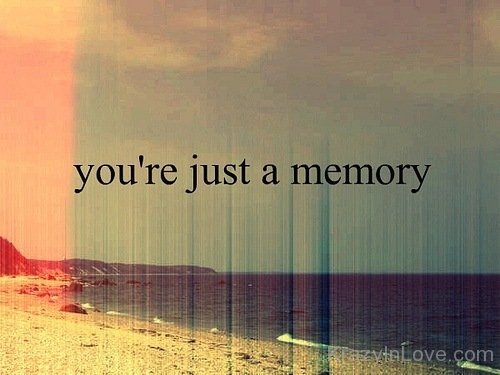 You Are Just The Memory-as14322