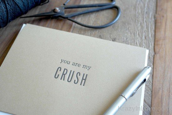 You Are My Crush -dc22
