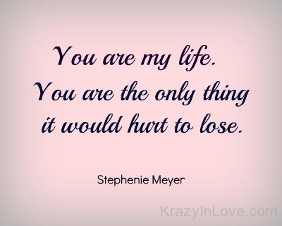 You Are My Life You Are The Only Thing It Would Hurt To Lose