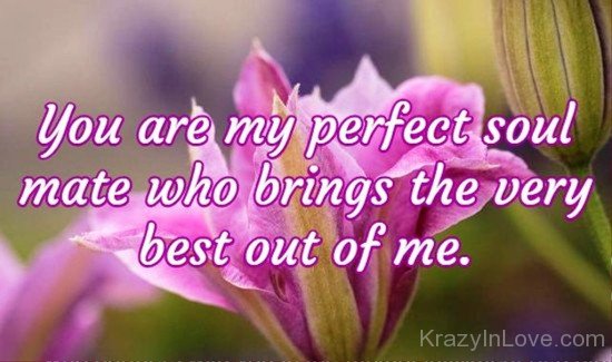 You Are My Perfect Soulmate-abu821