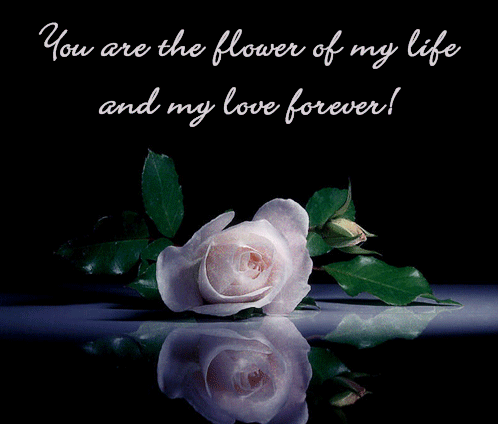 You Are The Flower Of My Life And My Love Forever