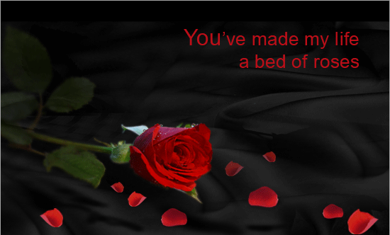 You've Made My Life A Bed Of Roses