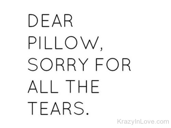 Dear Pillow-vn503