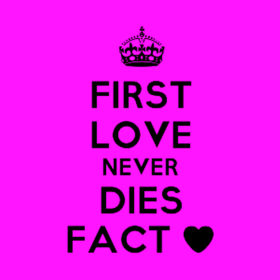 First Love Never Dies Fact-nm801