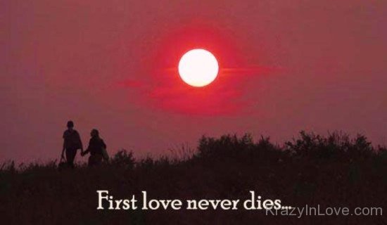 First Love Never Dies Image-nm802