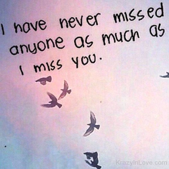 I Have Never Missed Anyone-yt607